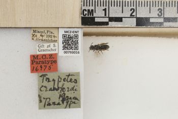 Media type: image;   Entomology 793016 Aspect: Labels